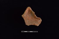 藏品(連杯形器)的圖片